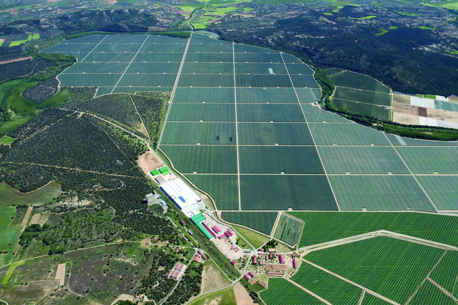 Nufri prevé recolectar 25 millones de kilos de manzanas en finca La Rasa (Soria)
