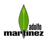 ADOLFO MARTÍNEZ S.A.